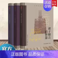 [正版]2021 全套3册 中华经典名篇系列:历史的影子观盛衰+一日三省知德政+诸子锦言启智慧 大有书局中央党校出版 国