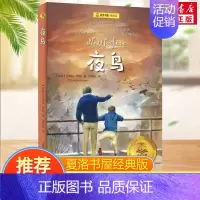 夜鸟(经典版) [正版]总有一天会长大全套 经典美绘版夏洛书屋三四五六年级小学生课外书 铁路边的孩子们西顿动物记夏洛的网