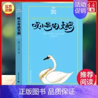 吹小号的天鹅(美绘版) [正版]总有一天会长大全套 经典美绘版夏洛书屋三四五六年级小学生课外书 铁路边的孩子们西顿动物记