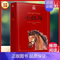 小红马(美绘版) [正版]总有一天会长大全套 经典美绘版夏洛书屋三四五六年级小学生课外书 铁路边的孩子们西顿动物记夏洛的