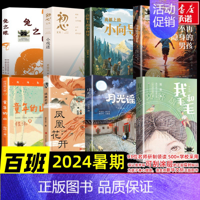 2024暑假百班千人五年级阅读[全套8册] [正版]书店兔之眼 百班千人五年级阅读书单灰谷健次郎著国际安徒生奖奖中国教育