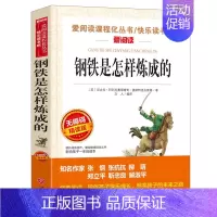 钢铁是怎样炼成的 [正版]钢铁是怎样炼成的青少年成长励志小说儿童文学世界名著必读三四五六七八年级初中小学生课外阅读书籍繁