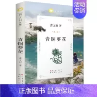 青铜葵花 [正版]长袜子皮皮 三年级美绘版非注音版林格伦作品选集7-9-10-12-14周岁儿童故事文学绘本书籍小学生四