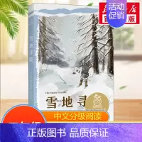 雪地寻踪 [正版]爱丽丝漫游奇境中文分级阅读五年级6-12岁小学生常读课外书籍二三四五六年级课外书常读经典书目儿童文学读