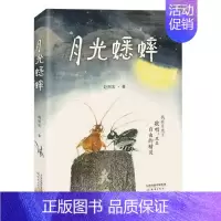 月光蟋蟀 [正版]长袜子皮皮 三年级美绘版非注音版林格伦作品选集7-9-10-12-14周岁儿童故事文学绘本书籍小学生四