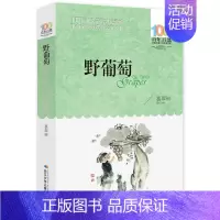 野葡萄 [正版]孙悟空在我们村里 郭风著 百年百部中国儿童文学经典书系 8-10-12岁三四五六年级小学生课外读物阅读书