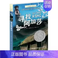 国际大奖小说-寻找阿加莎 [正版]后的夏天长青藤国际大奖小说书系全套五六年级初中课外阅读文学故事10岁11岁12岁儿童名