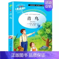 青鸟 [正版]繁星春水原著冰心小学生三年级四年级五六年级课外书籍山东美术出版社青少年无障碍阅读名著全国儿童文学获奖作品上