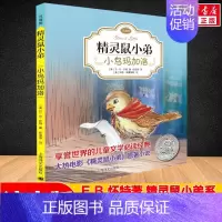 [注音版]小鸟玛加洛 [正版] E·B怀特经典三部曲 吹小号的天鹅 书 注音版 天鹅路易斯+奇妙夏令营+美好的春天