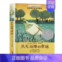 国际大奖小说-从天而降的幸运 [正版]后的夏天长青藤国际大奖小说书系全套五六年级初中课外阅读文学故事10岁11岁12岁儿