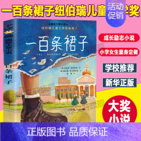 一百条裙子 [正版]无字书图书馆 国际大奖小说 安徒生奖无字书小学生儿童文学书籍6-12周岁一二三年级四五六年级课外阅读