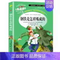 钢铁是怎样炼成的 [正版]繁星春水原著冰心小学生三年级四年级五六年级课外书籍山东美术出版社青少年无障碍阅读名著全国儿童文