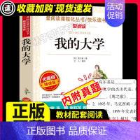 [29元3件]我的大学 [正版]下次开船港严文井原著小学生必3456课外阅读书籍三四五六年级青少年人民儿童文学教育读物天