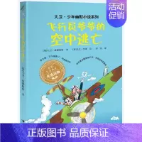飞行员爷爷的空中逃亡 [正版]大卫幽默小说系列全8册大卫幽默小说系列 全12册了不起的大盗奶奶钱堆里的男孩魔鬼牙医 少女
