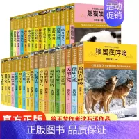 [全34册]中外动物小说精品1-5辑 [正版]沈石溪中外动物小说精品第1-5辑全34册 单册套装任选 神秘的红狐阵奇异的