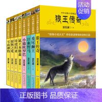 [全8册]中外动物小说精品(第三辑) [正版]沈石溪中外动物小说精品第1-5辑全34册 单册套装任选 神秘的红狐阵奇异的