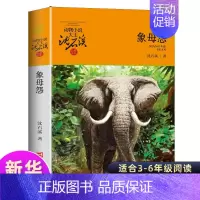 [正版]动物小说大王沈石溪品藏书系 象母怨 儿童书8-10-12周岁儿童文学三四五六年级小学生课外阅读故事书 书籍 沈石