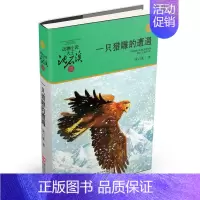 一只猎雕的遭遇(升级版) [正版]直营狼王梦动物小说大王沈石溪品藏书系完整版浙江少年儿童出版社大王小学生三四五六年级儿童