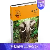 象母怨(升级版) [正版]直营狼王梦动物小说大王沈石溪品藏书系完整版浙江少年儿童出版社大王小学生三四五六年级儿童文学课外