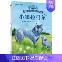 小狼拉马尔 [正版]时间商店 摆渡船当代世界儿童文学金奖书系我能跳过水洼动物远征队柠檬图书馆午夜动物园 摩根先生有匹马三