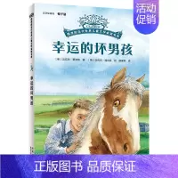 幸运的坏男孩 [正版]时间商店 摆渡船当代世界儿童文学金奖书系我能跳过水洼动物远征队柠檬图书馆午夜动物园 摩根先生有匹马
