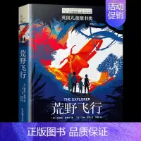 荒野飞行 [正版] 荒野飞行 长青藤国际大奖小说书系 第十一辑 凯瑟琳朗德尔著 英国儿童奖 6-12岁儿童文学书籍 中小