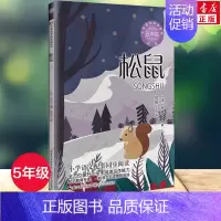 [正版]松鼠 (法)布封著刘阳译 5五年级上册学期小学语文同步阅读书系课文作家作品儿童文学 小学生必课外阅读书籍寒暑假书