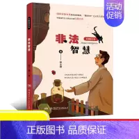 [正版]非法智慧/豆蔻镇书系 张之路 儿童6-12周岁小学生一二三四五六年级课外阅读经典文学故事书目书店书籍