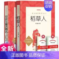 [全2册]稻草人+安徒生童话+考题册 [正版]安徒生童话精选全集原版原著 丹麦著 叶君健译 小学生课外阅读书籍 三年级