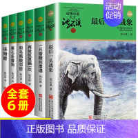 沈石溪品藏书系-绿色特辑[全6册] [正版]沈石溪动物小说全集十大经典必读珍藏版全套画本系列儿童文学后一头战象狼王梦斑羚