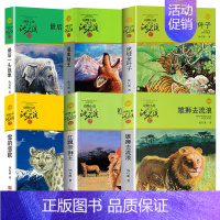 沈石溪品藏书系-猛兽系列[全6册] [正版]沈石溪动物小说全集十大经典必读珍藏版全套画本系列儿童文学后一头战象狼王梦斑羚