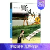 [正版]曹文轩纯美小说系列 野风车 文学小说之作小学生初中生课外图书读物儿童文学中外名著