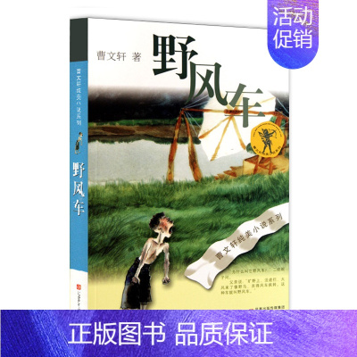 [正版]曹文轩纯美小说系列 野风车 文学小说之作小学生初中生课外图书读物儿童文学中外名著