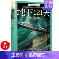 [正版]长青藤国际大奖小说书系地下121天 童书纽伯瑞儿童文学作品9-10-12-15岁小学生课外阅读书三四五六年级