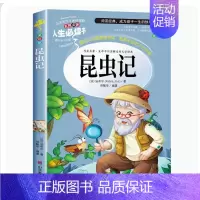 昆虫记 [正版]爱的教育原著完整版四五六年级上册阅读书籍三年级必读课外书亚米契斯下学期的至名著青少人民儿童文学教育读物山