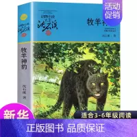 [正版]牧羊神豹 动物小说大王沈石溪品藏书系中小学生课外阅读书不带拼音儿童文学书籍 浙江少年儿童出版社共265页DB
