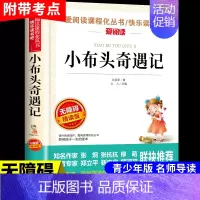 小布头奇遇记 [正版]小桔灯 冰心儿童文学全集经典作品小学生散文读本三年级四年级五六上册下册课外书必读散文集小学4下繁星