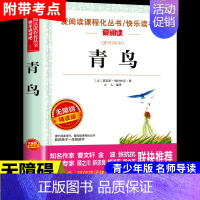 青鸟 [正版]小桔灯 冰心儿童文学全集经典作品小学生散文读本三年级四年级五六上册下册课外书必读散文集小学4下繁星春水小橘