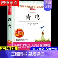 青鸟 [正版]小桔灯 冰心儿童文学全集经典作品小学生散文读本三年级四年级五六上册下册课外书必读散文集小学4下繁星春水小橘
