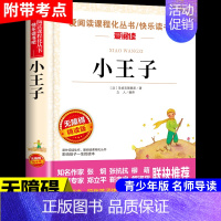 小王子 [正版]小桔灯 冰心儿童文学全集经典作品小学生散文读本三年级四年级五六上册下册课外书必读散文集小学4下繁星春水小