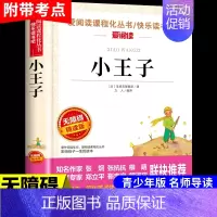 小王子 [正版]小桔灯 冰心儿童文学全集经典作品小学生散文读本三年级四年级五六上册下册课外书必读散文集小学4下繁星春水小