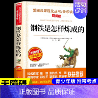 钢铁是怎样炼成的 [正版]小桔灯 冰心儿童文学全集经典作品小学生散文读本三年级四年级五六上册下册课外书必读散文集小学4下