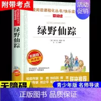 绿野仙踪 [正版]小桔灯 冰心儿童文学全集经典作品小学生散文读本三年级四年级五六上册下册课外书必读散文集小学4下繁星春水