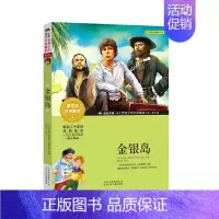 [正版]书籍金银岛名著世界少年文学精选青少年版中小学生课外阅读读物7-10-12-14岁儿童文学读物童书奇幻小说童话故事