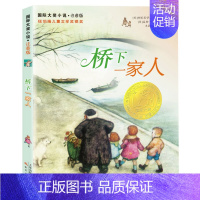 桥下一家人 注音版 [正版]国际大奖小说全套5册 屋顶上的小孩蓝色的海豚岛 苹果树上的外婆注音版桥下一家人亲爱的汉修先生