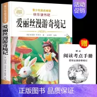 爱丽丝漫游奇境记 [正版]鲁滨逊漂流记六年级下册必读的课外书快乐读书吧全套原著完整版鲁滨孙冰逊漂流记汤姆索亚历险记尼尔斯