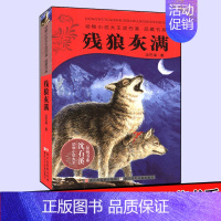 [正版]书籍残狼灰满 动物小说大王沈石溪品藏书系 精选全集作品大全 经典儿童文学 9-10-12-15岁少儿必读三四五六