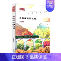 [正版]老林深处的铁桥 张国龙作品 儿童文学作家书系 校园成长小说 曲折寻觅亲情之旅 痛苦挣扎成长之行 中小学生课外阅读