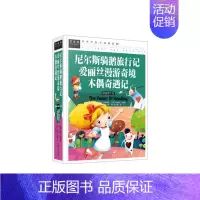 [正版]尼尔斯骑鹅旅行记爱丽丝漫游奇境木偶奇遇记精装彩图版/2-3-4-5-6-7年级课外阅读书世界文学名著儿童读物 常