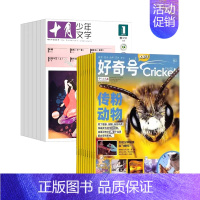 十月少年+好奇号 2024年1-12月 [正版]十月少年文学2024年刊订阅12期8-15岁儿童期刊杂志课外阅读曹文轩主